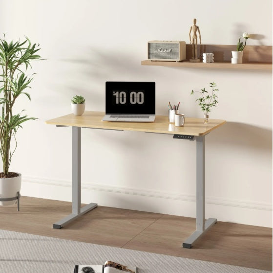 Electric Standing Desk Adjustable Height Desk Home Office Computer Workstation Sit Stand Up Desk